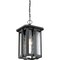 Quoizel Everglade Outdoor Hanging Lantern EVG1911EK - alternate 2